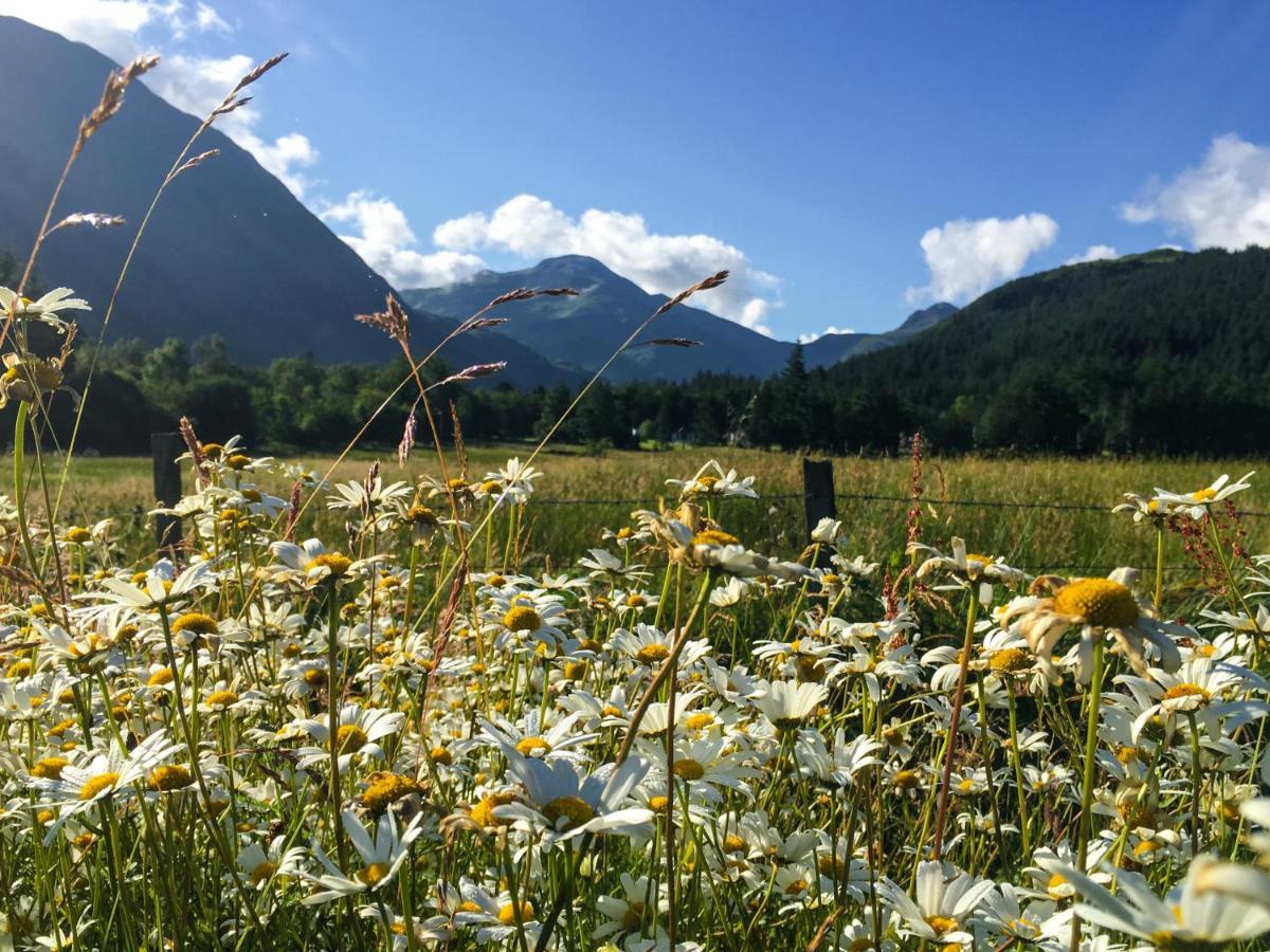 Glen Nevis Holidays Φορτ Γουίλιαμ Εξωτερικό φωτογραφία